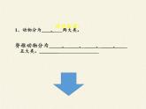 北师大版生物八年级下册 7.22.4 动物的主要类群(3) 课件