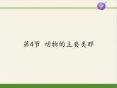 北师大版生物八年级下册 7.22.4 动物的主要类群(12) 课件