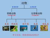 北师大版生物八年级下册 7.22.4 动物的主要类群(12) 课件