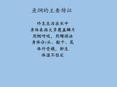 北师大版生物八年级下册 7.22.4 动物的主要类群(12) 课件
