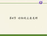 北师大版生物八年级下册 7.22.4 动物的主要类群 课件