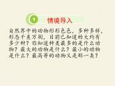 北师大版生物八年级下册 7.22.4 动物的主要类群 课件