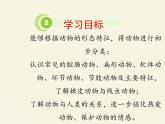 北师大版生物八年级下册 7.22.4 动物的主要类群 课件