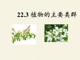 北师大版生物八年级下册 7.22.3 植物的主要类群(3) 课件