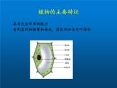 北师大版生物八年级下册 7.22.3 植物的主要类群(13) 课件
