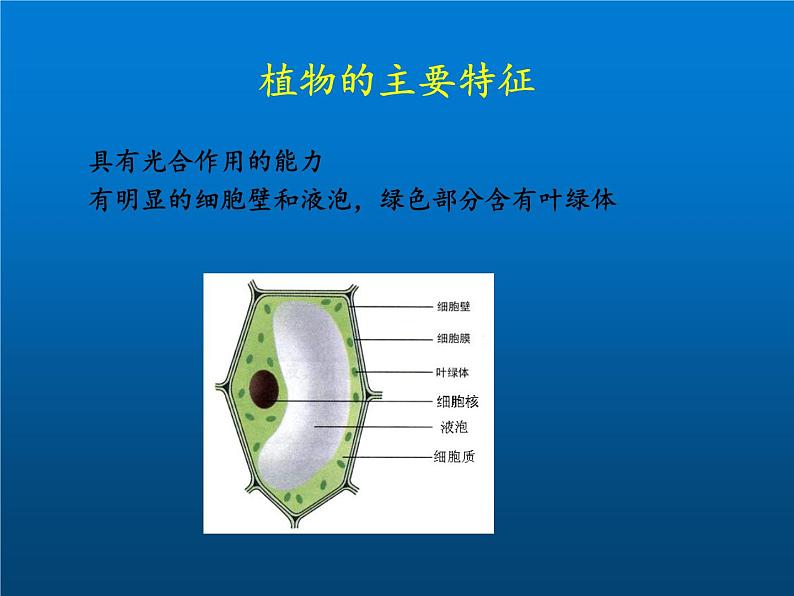 北师大版生物八年级下册 7.22.3 植物的主要类群(13) 课件第2页