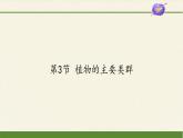 北师大版生物八年级下册 7.22.3 植物的主要类群(11) 课件