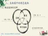 北师大版生物八年级下册 7.22.3 植物的主要类群(11) 课件