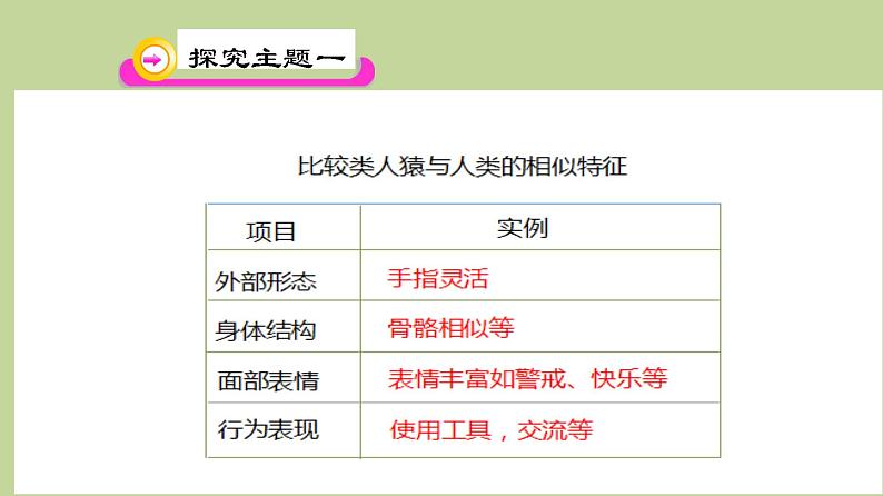 北师大版生物八年级下册 7.21.3 人类的起源与进化 (2) 课件05