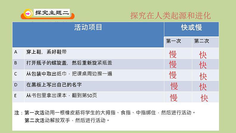 北师大版生物八年级下册 7.21.3 人类的起源与进化 (2) 课件07