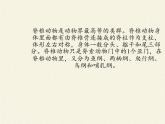 北师大版生物八年级下册 7.22.4 动物的主要类群(11) 课件
