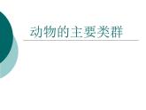 北师大版生物八年级下册 7.22.4 动物的主要类群_ 课件