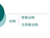 北师大版生物八年级下册 7.22.4 动物的主要类群_ 课件