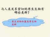 北师大版生物八年级下册 7.22.2 原生生物的主要类群(6) 课件