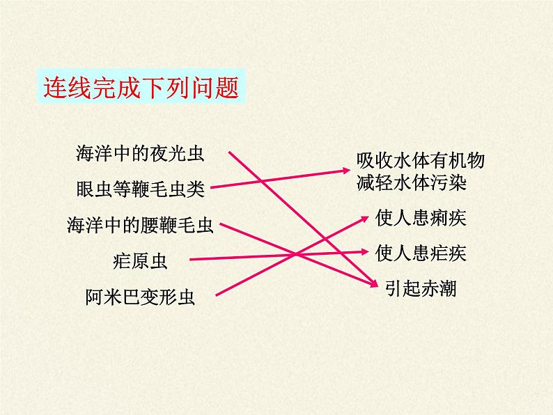 北师大版生物八年级下册 7.22.2 原生生物的主要类群(6) 课件第8页