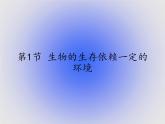北师大版生物八年级下册 8.23.1 生物的生存依赖一定的环境(1) 课件