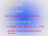 北师大版生物八年级下册 8.23.1 生物的生存依赖一定的环境(1) 课件