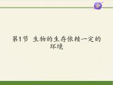 北师大版生物八年级下册 8.23.1 生物的生存依赖一定的环境(2) 课件