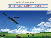 北师大版生物八年级下册 8.23.1 生物的生存依赖一定的环境 课件