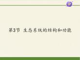 北师大版生物八年级下册 8.23.3 生态系统的结构和功能(4) 课件