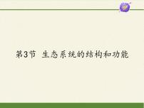 北师大版八年级下册第八单元  生物与环境第23章  生态系统及其稳定性第3节  生态系统的结构和功能备课课件ppt