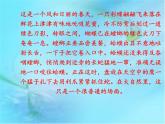 北师大版生物八年级下册 8.23.3 生态系统的结构和功能(4) 课件