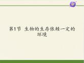 北师大版生物八年级下册 8.23.1 生物的生存依赖一定的环境(9) 课件