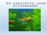 北师大版生物八年级下册 8.23.1 生物的生存依赖一定的环境(9) 课件
