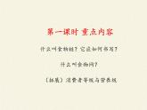 北师大版生物八年级下册 8.23.3 生态系统的结构和功能(1) 课件