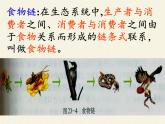 北师大版生物八年级下册 8.23.3 生态系统的结构和功能(1) 课件