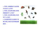 北师大版生物八年级下册 8.23.3 生态系统的结构和功能_ 课件