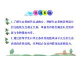 北师大版生物八年级下册 8.23.3 生态系统的结构和功能_ 课件