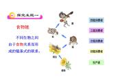 北师大版生物八年级下册 8.23.3 生态系统的结构和功能_ 课件