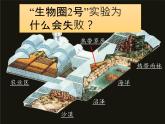 北师大版生物八年级下册 8.23.4 生态系统的稳定性(3) 课件