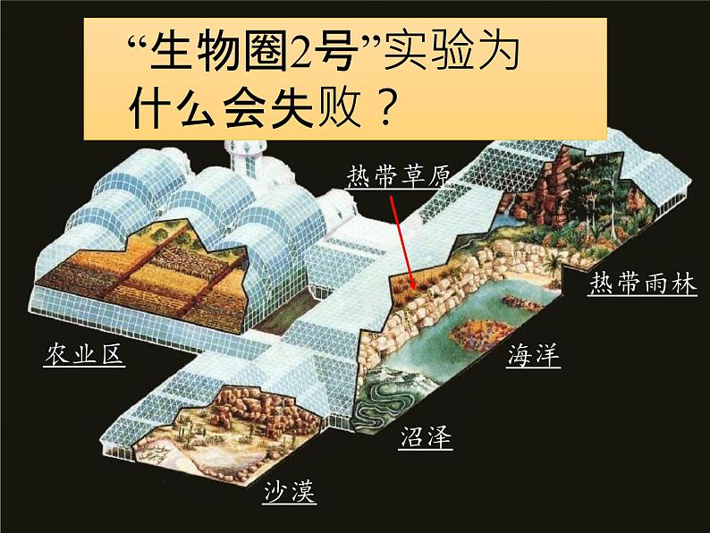 北师大版生物八年级下册 8.23.4 生态系统的稳定性(3) 课件03