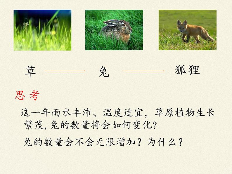 北师大版生物八年级下册 8.23.4 生态系统的稳定性(3) 课件05