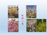 北师大版生物八年级下册 8.23.2 生态系统概述(2) 课件