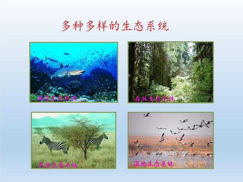 北师大版生物八年级下册 8.23.2 生态系统概述(2) 课件第6页