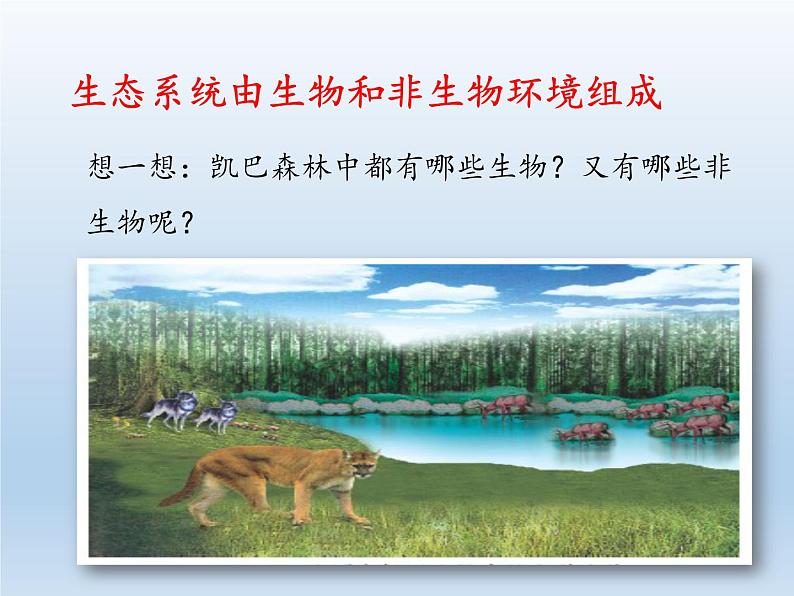 北师大版生物八年级下册 8.23.2 生态系统概述(2) 课件第8页