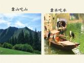 北师大版生物八年级下册 8.23.4 生态系统的稳定性(4) 课件