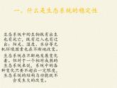 北师大版生物八年级下册 8.23.4 生态系统的稳定性(4) 课件