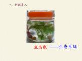 北师大版生物八年级下册 8.23.4 生态系统的稳定性(11) 课件