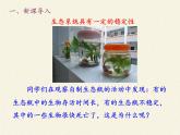 北师大版生物八年级下册 8.23.4 生态系统的稳定性(11) 课件