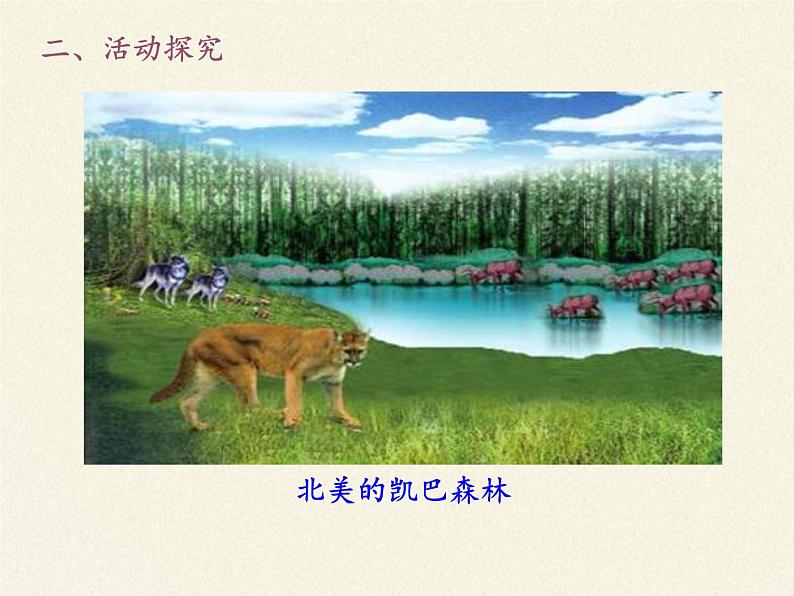 北师大版生物八年级下册 8.23.4 生态系统的稳定性(11) 课件第5页