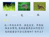 北师大版生物八年级下册 8.23.4 生态系统的稳定性(6) 课件