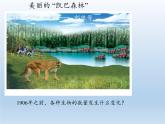 北师大版生物八年级下册 8.23.4 生态系统的稳定性(6) 课件