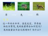 北师大版生物八年级下册 8.23.4 生态系统的稳定性(6) 课件