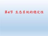 北师大版生物八年级下册 8.23.4 生态系统的稳定性(5) 课件