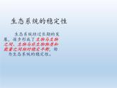 北师大版生物八年级下册 8.23.4 生态系统的稳定性(5) 课件