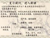 北师大版生物八年级下册 8.23.3 生态系统的结构和功能(3) 课件